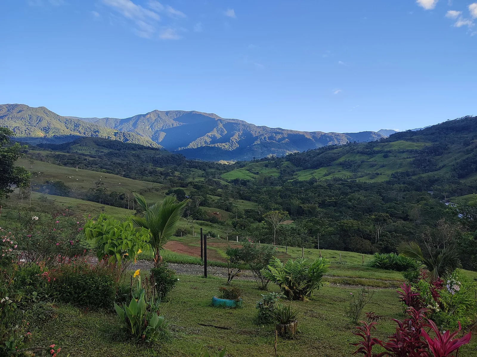 Llanos Orientales — Meta / Casanare
