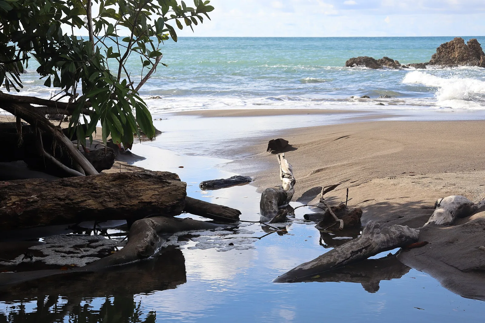 Playas de selva y mar — Nuquí, Chocó