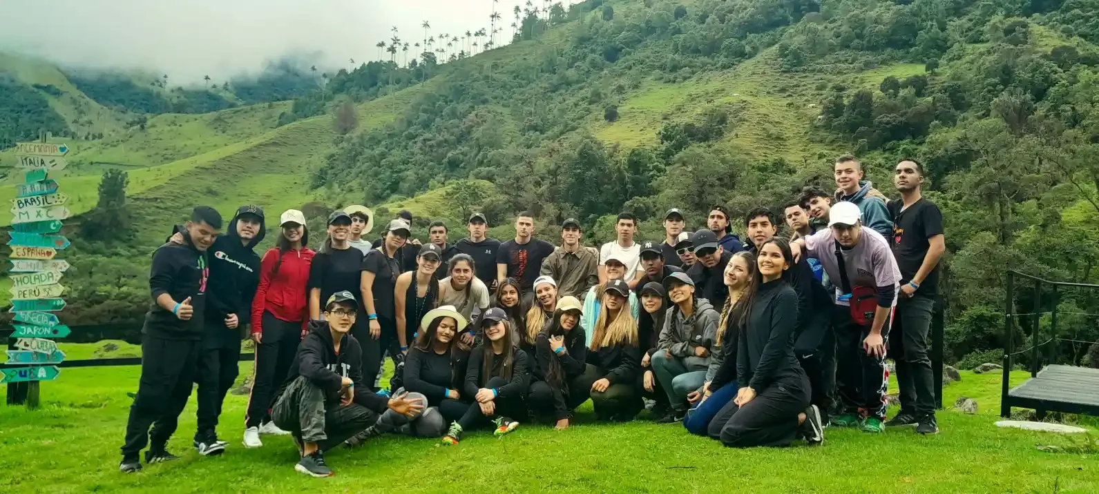 Valle del Cocora — turismo pedagógico en Colombia