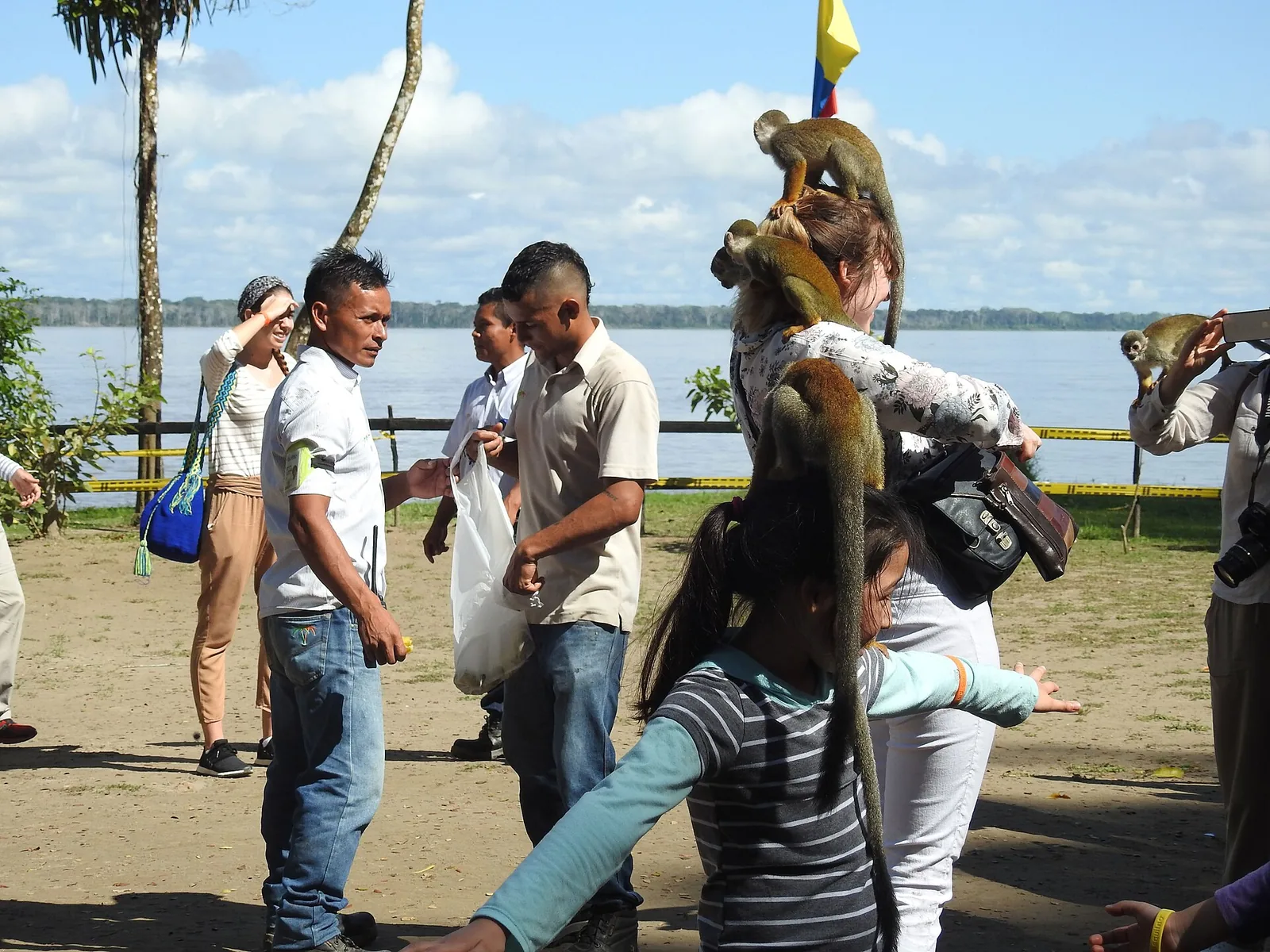 Isla de los Micos, Río Amazonas