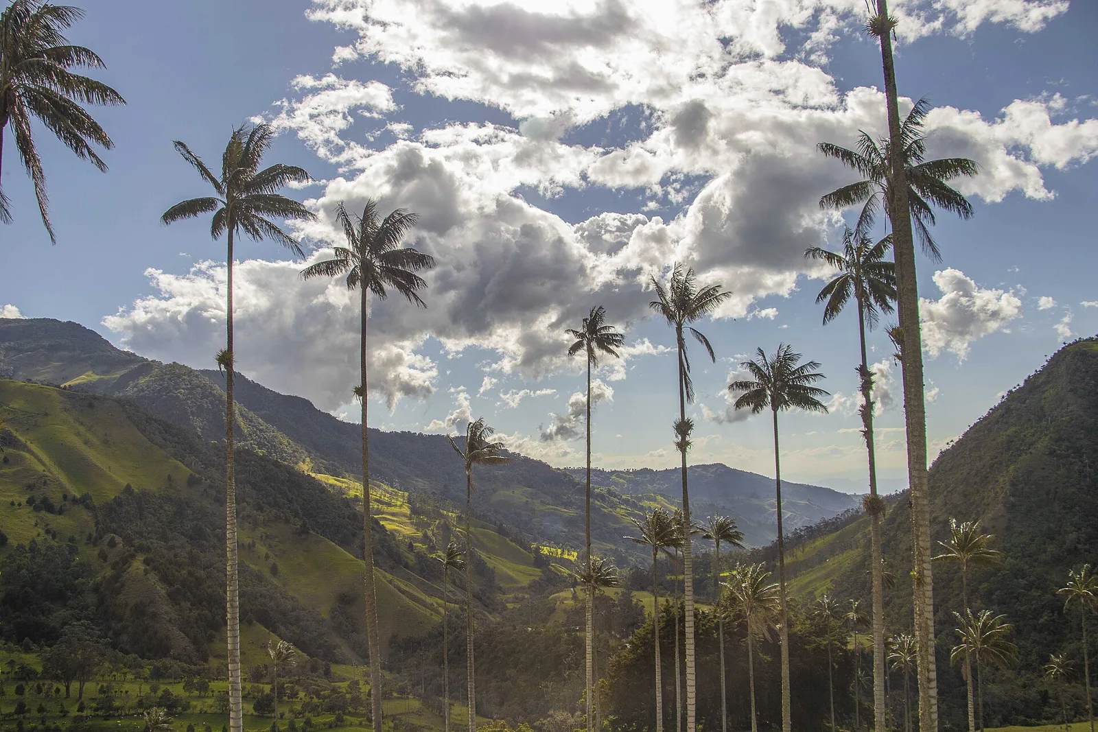 Región Andina, Colombia