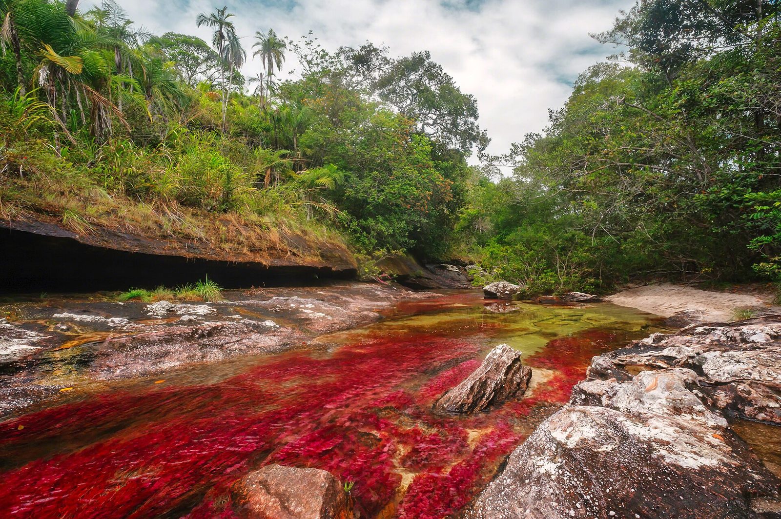 Caño Cristales desde Cali · 4 días - 3 noches