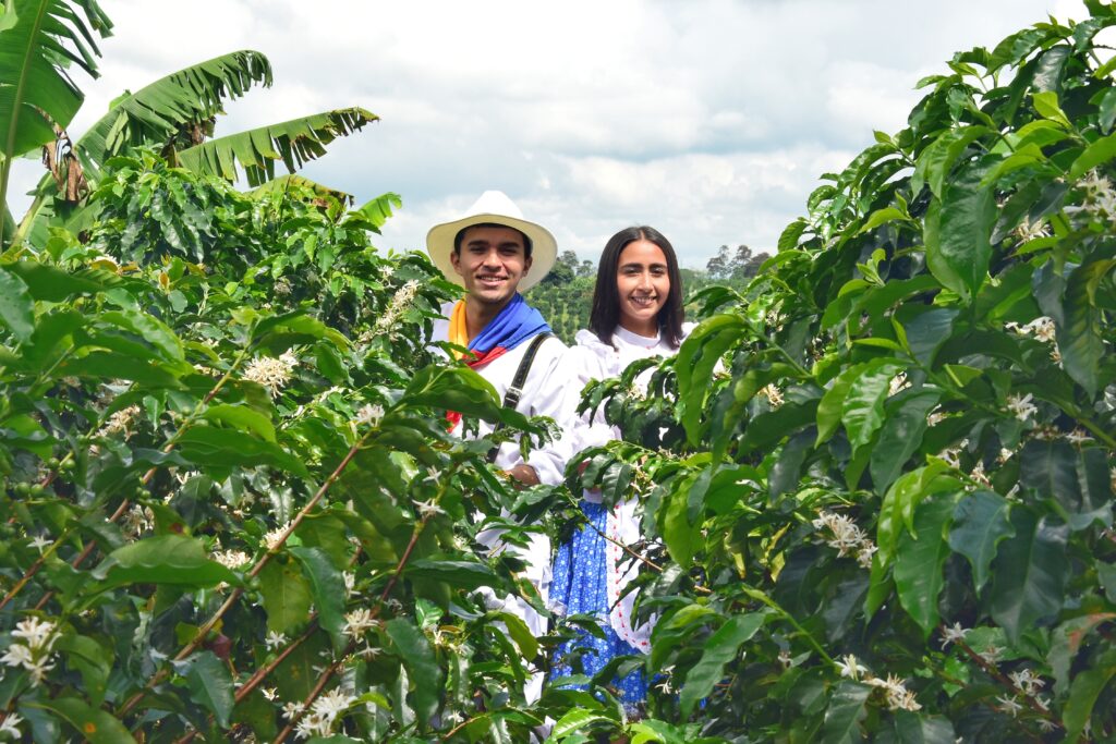 RECUCA — Eje Cafetero, Colombia