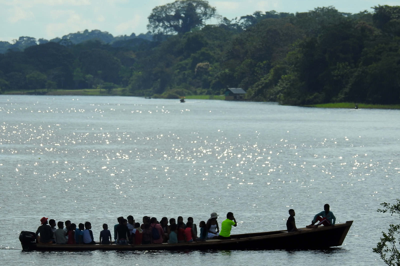 Amazonas Selvática