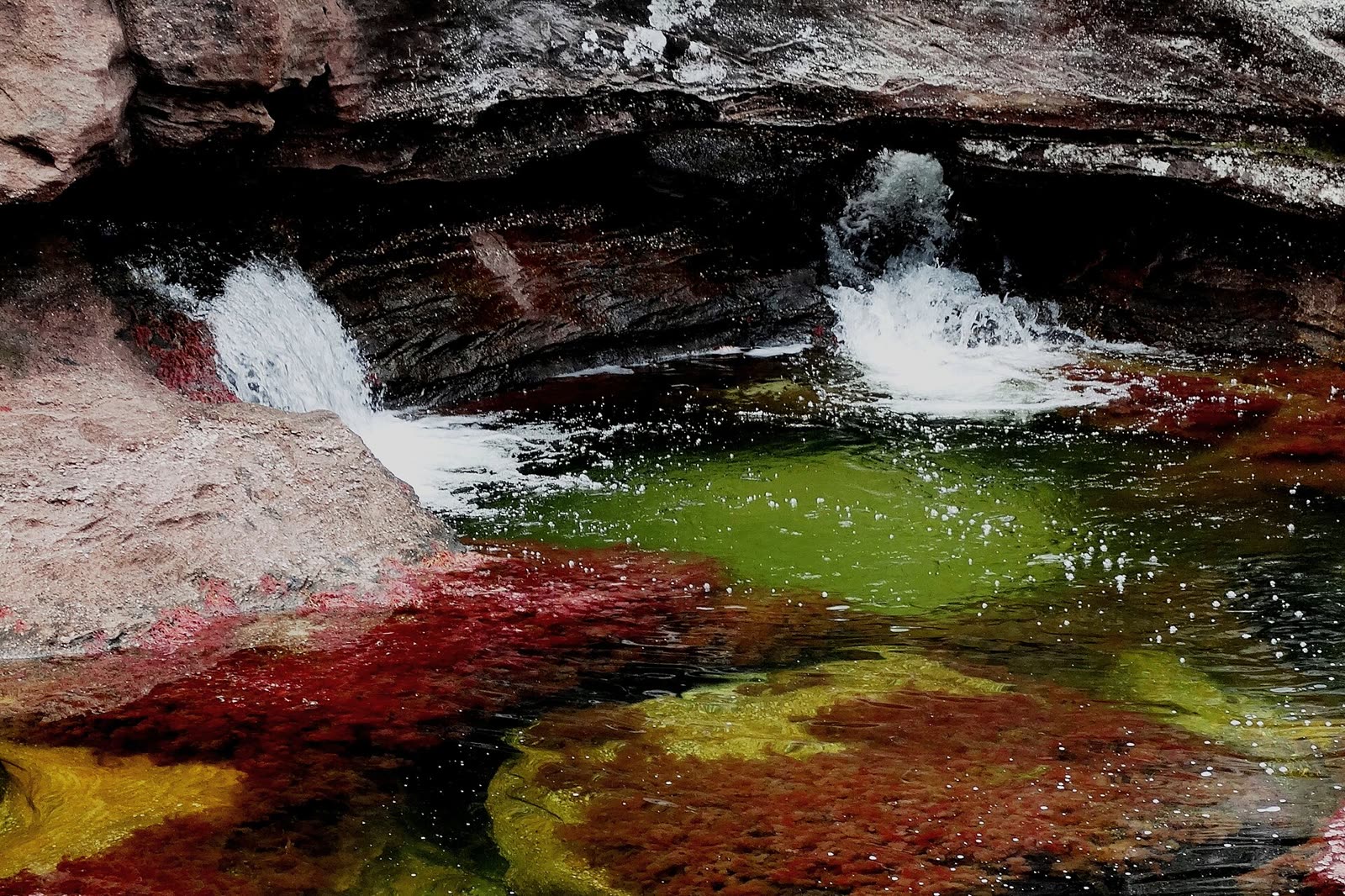 Caño Cristales desde Medellín – 4 días