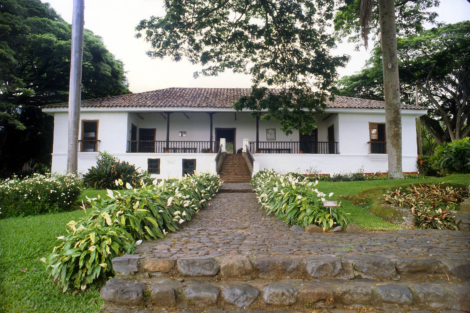 Valle del Cauca